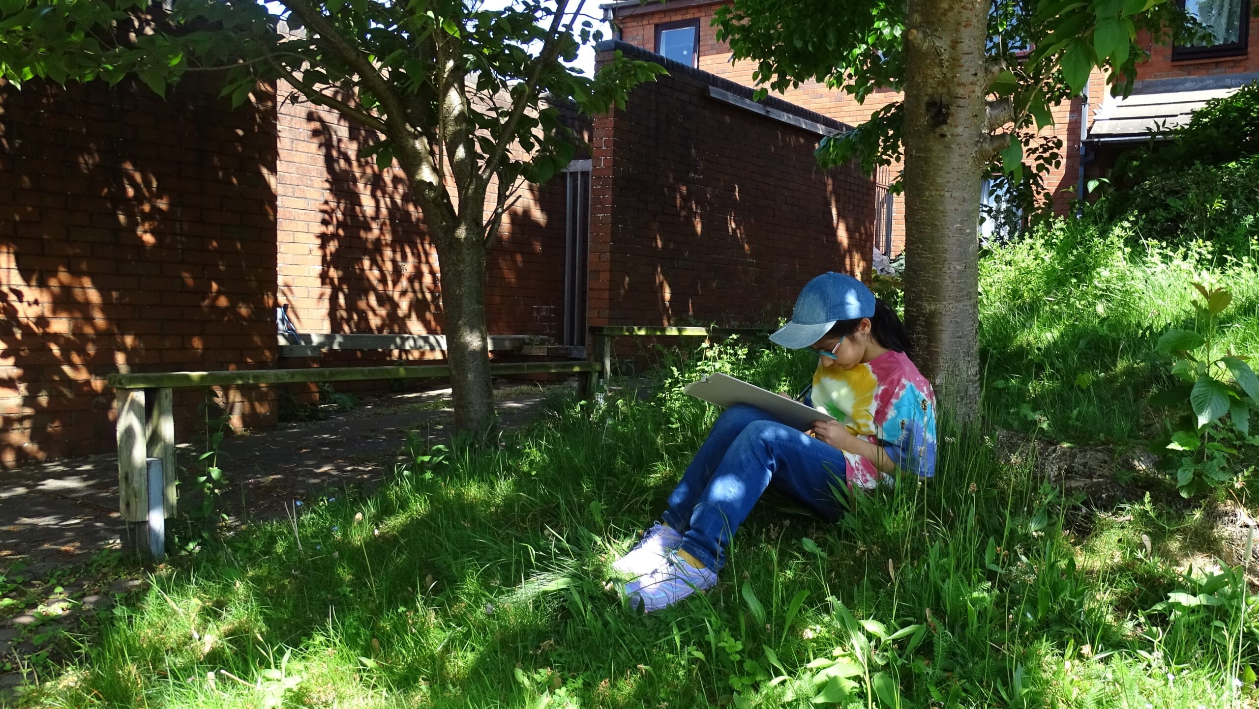Girl sketching beneath tree in dappled sunshine