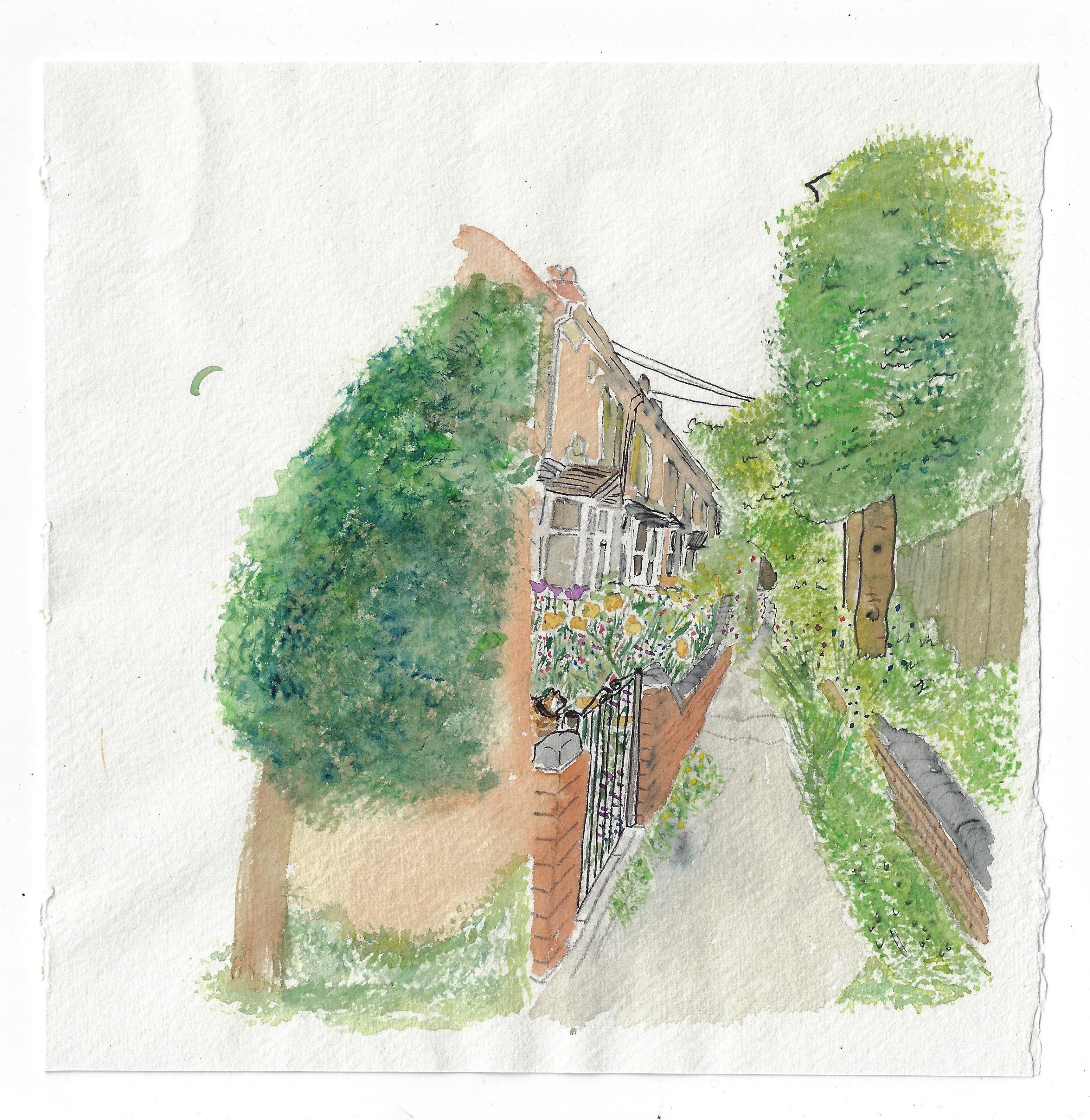 Water colour of a row of terraced houses with their front gardens